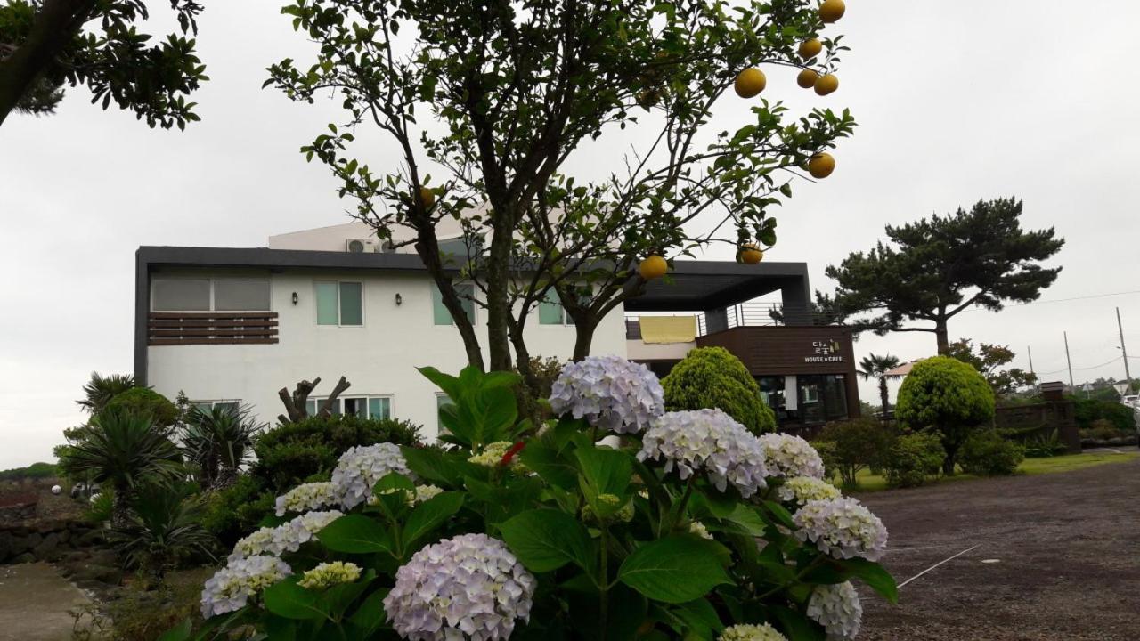 Moon Forest Guesthouse Jeju Luaran gambar