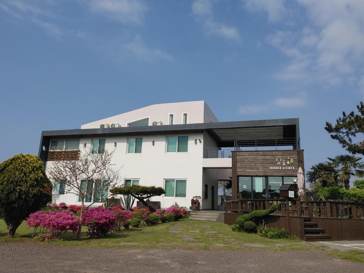 Moon Forest Guesthouse Jeju Luaran gambar